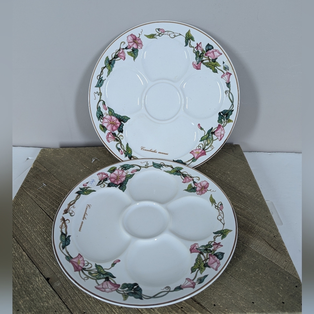 Villeroy & Boch Botanica 9” Divided Serving Plates Set of 2 Floral Porcelain